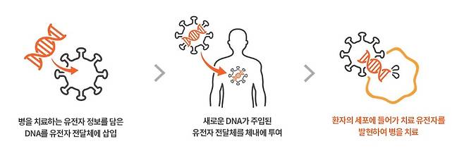 유전자 치료제 원리 예시를 담은 개요도. 뉴라클제네틱스는 AAV 기반 '유전자 전달체'를 고효율로 구현해낸 바 있다/사진제공=뉴라클제네틱스