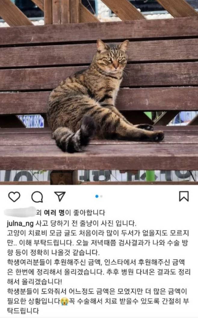 (사진=줄냥이 인스타그램)