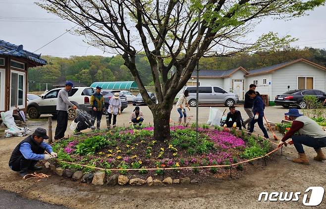 계룡 도시·치유농업연구회원들이 엄사면 도곡2리 경로당 앞에서 ‘게릴라 가드닝’을 진행하고 있다. (계룡시 제공) /뉴스1