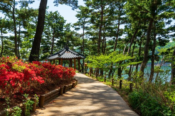 호반산책길로 인기가 높은 '오각정길'. 과거 '전두환 대통령길'로 불렸으나 2년 전 반대 여론이 커지면서 길 이름이 바뀌고, 동상이 옮겨졌다.