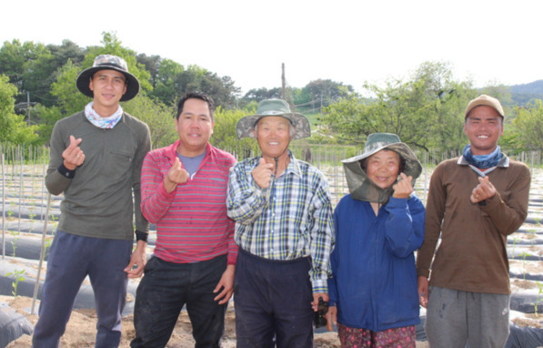 전북 임실 지사면에서 농사를 짓는 김강식·김운애씨 부부와 공공형 계절근로자로 선정된 베트남 친구들이 함께 고추 육묘 정식과 지주대 설치를 마치고 환하게 웃고 있다.