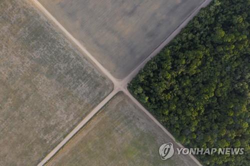 콩밭으로 개간된 '지구의 허파' 아마존 열대우림 [AP 연합뉴스 자료사진. 재판매 및 DB 금지]