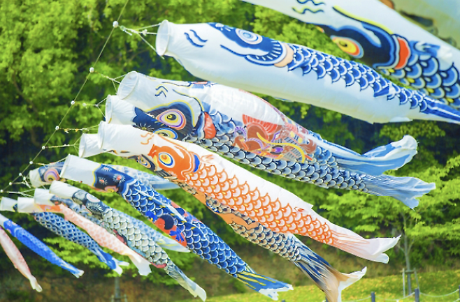 일본 5월 5일에 걸리는 '고이노보리'. (사진출처=자란넷)