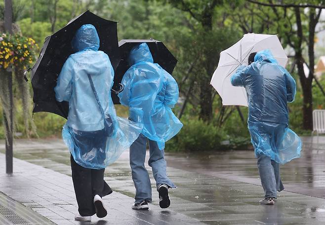 절기상 여름이 시작하는 입하인 6일 서울 광화문 광장에서 시민들이 우산으로 비바람을 막고 있다. [연합]