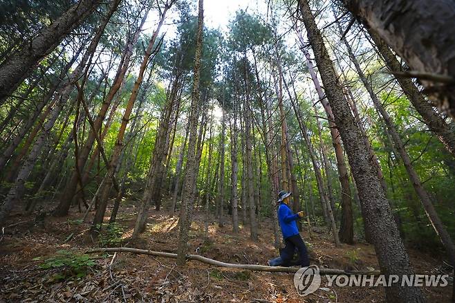 체르마트길 [사진/성연재 기자]