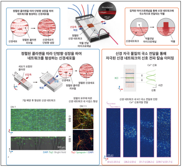 개발된 플랫폼의 모식도