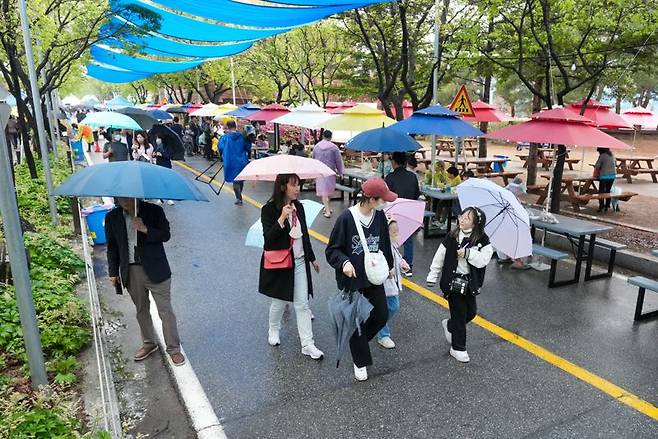 양구 곰취축제가 지난 5일 개막, 3일간 열렸다. 양구군 제공.