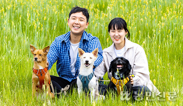 충남 홍성에서 황민아(오른쪽)·최한수 부부와 깜봉·봉두·봉순이가 청보리밭 산책을 마치고 휴식하고 있다.