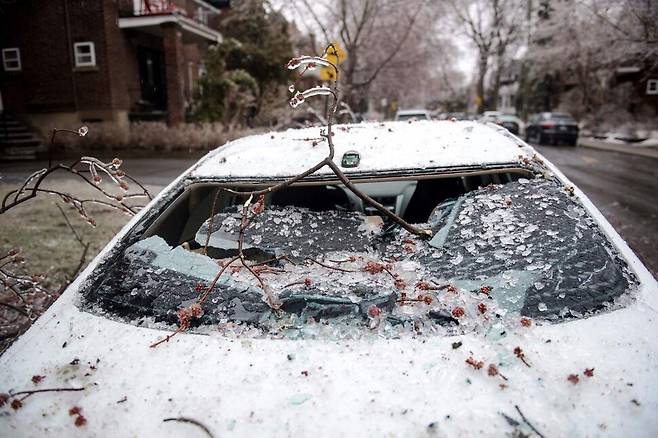 캐나다 퀘벡주 몬트리올에 4월5일 돌풍과 함께 ‘어는 비’가 쏟아져, 쓰러진 나무에 차가 부서져 있다.