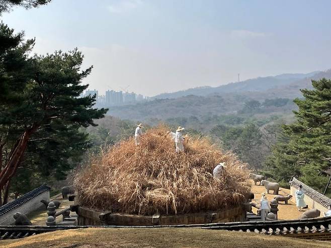 예초의 거행 모습(2022)/사진=문화재청