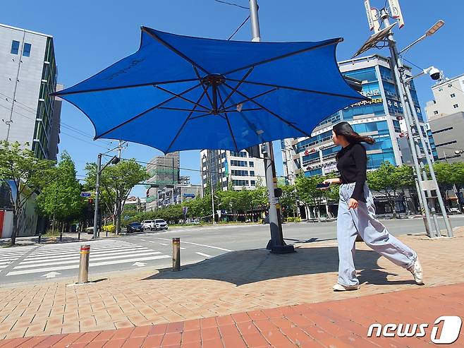 9일 경북 포항시청 광장 횡단보도에 폭염 예방을 위한 대형 우산형 그늘막이 설치돼 있다.2023.5.9/뉴스1 ⓒ News1 최창호 기자