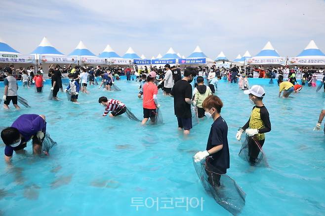 서천 자연산 광어 도미 축제