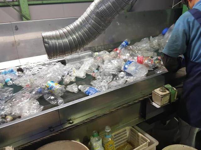 투명 페트병을 선별하는 과정. 환경부 제공