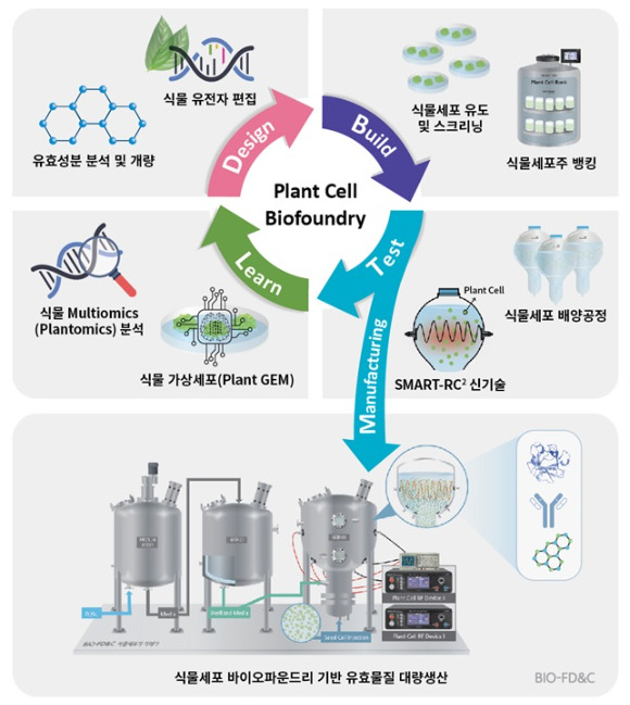 사진은 바이오에프디엔씨의 식품 세포주 배양 사이클이다.  [사진=바이오에프디앤씨]