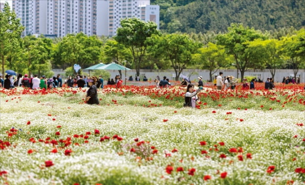 봄꽃축제를 앞둔 태화강 국가정원에 방문객들의 발길이 이어지고 있다.  울산시 제공