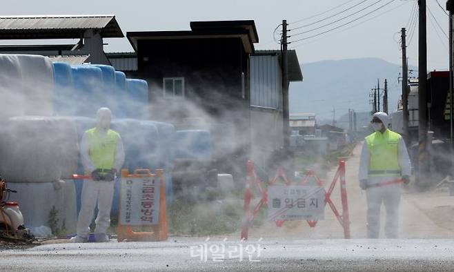 11일 구제역이 발생한 청주 청원구 북이면 소재 한우 농장에서 방역작업이 이뤄지고 있다. ⓒ연합뉴스