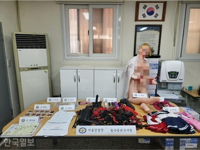 지난해 6월 적발된 강남구 '스와핑·집단성교' 유흥업소에서 압수된 코스튬과 성관계 도구 등이 놓여 있다. 서울경찰청 제공