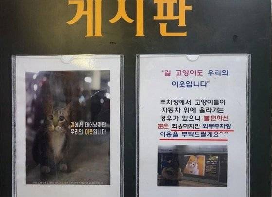 ‘길고양이가 불편하면 외부 주차장을 사용하라’는 아파트 내 안내문. 캣맘이 붙인 것으로 추정돼 많은 이들의 공분을 샀다. / 사진:커뮤니티 캡처