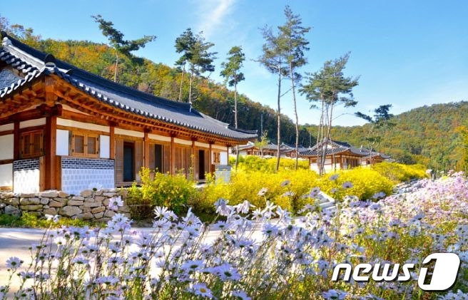 충북 보은군 속리산면 소재  '속리산 숲체험휴양마을' 전경. (보은군 제공)/뉴스1