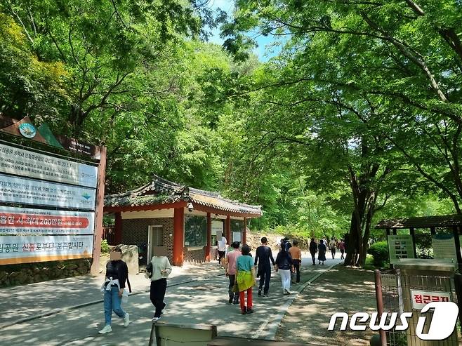 계룡산 국립공원이 상춘객들로 붐비고 있다.(계룡산국립공원 제공)