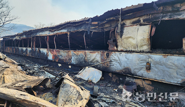4월2일 충남 홍성군 서부면 중리의 한 야산에서 발생한 산불로 양곡리에 있는 한 돈사가 전소된 모습. 농민신문 DB