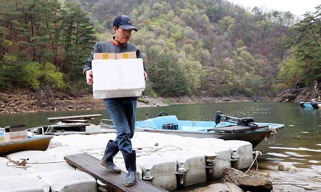 김상준 집배원이 선착장에서 택배 박스를 들고 보트에서 내리고 있다.