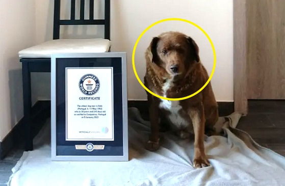 사진= 유튜브 'Guinness World Records'