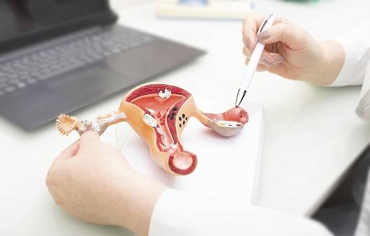 다낭성 난소증후군은 가임기 여성에게 발생하는 흔한 질환 중 하나다｜출처: 클립아트코리아