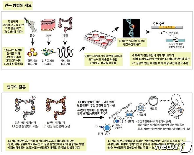 연구 방법의 개요. (KAIST 제공) /뉴스1