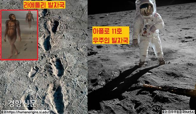 370만년전 고인류의 발자국은 우주시대를 연 아폴로 11호 우주인인 암스트롱, 올드윈, 콜린즈 등의 ‘위대한 발자국’에 비견될 수 있다. |출처:‘https://humanorigins.si.edu’와 ‘미우주항공국(NASA)’