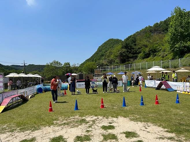 금산축제관광재단은 14일 진산면 홀리데이펫에서 반려견명랑운동회를 가졌다. 2023. 05. 15 금산군 *재판매 및 DB 금지