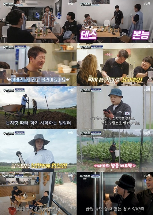 ‘부산촌놈 in 시드니’. 사진ㅣtvN