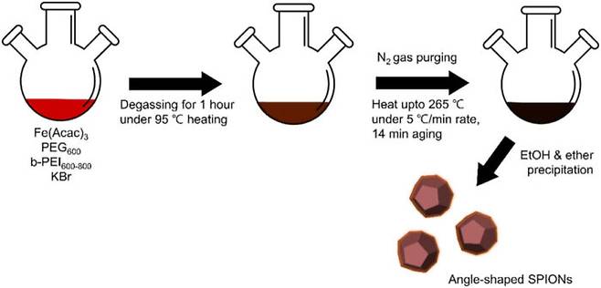 서울대병원 공동 연구팀은 브롬화칼륨(KBr) 및 PEI, PEG 용매를 이용해 비등방성 각형의 브로마이드-산화철 입자를 합성했다. [그림=서울대병원]