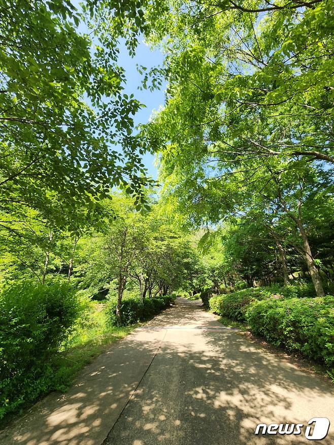 제천 의림지 한방 치유숲 온세로미길