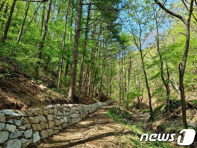 정비가 완료된 진산성지 숲길.(금산군 제공)