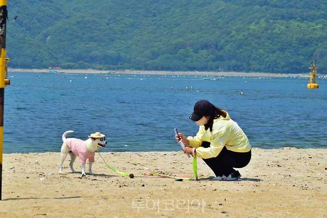 거제시 반려동물 해수욕장 개장