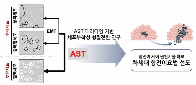 세포부착성 리프로그래밍을 통한 차세대 항전이요법 선도 모식도.[연세대학교 제공]