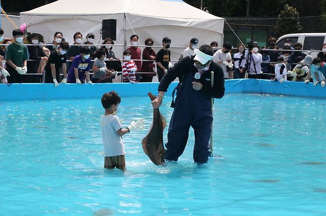 서천군 마량진항에서 열린 자연산 광어-도미 축제장에서 한 어린아이가 맨손으로 광어를 잡아 보이고 있다. 2023. 05. 17 서천군  *재판매 및 DB 금지