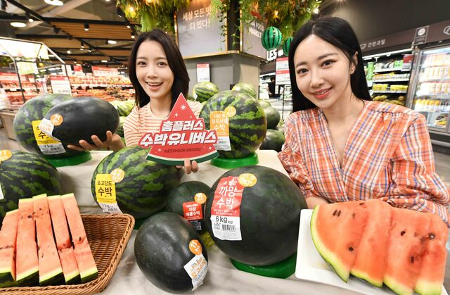 서울 시내 한 대형마트에서 까망꿀 수박과 애플 수박, 망고 수박 등 이색 수박을 선보여 눈길을 끌고 있다.