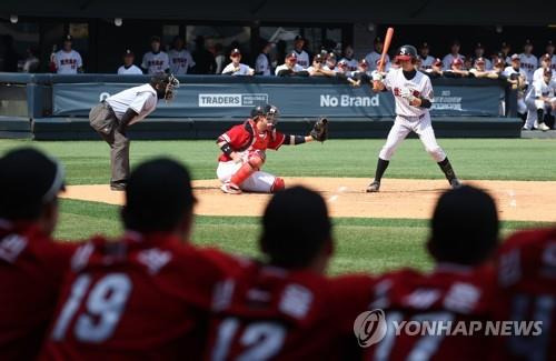 고교 야구(본 기사와 관련 없음) [연합뉴스 자료사진]