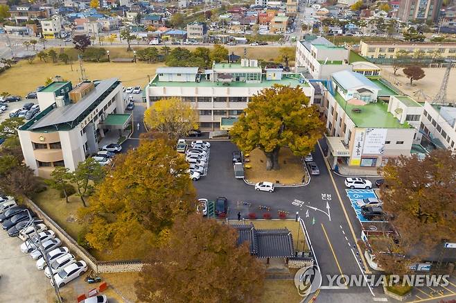 홍성군청 전경 [홍성군 제공]