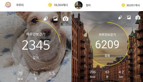 XX워크 만보기. 〈사진=독자 제공〉