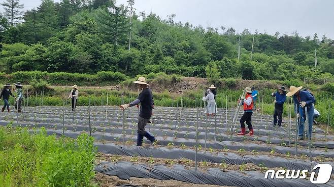 18일 전북 진안군 주천면과 군청 농업정책과, 관광과 직원 등 20여명이 화재 피해를 입은 농가의 일손을 돕고 있다.(진안군제공)2023.5.18/뉴스1