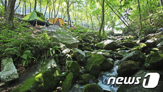 여름마다 피서객들이 몰리는 전북 장수군 와룡자연휴양림 계곡에 시원한 물이 흐르고 있다. (사진은 기사 내용과 무관함) / 뉴스1 ⓒ News1