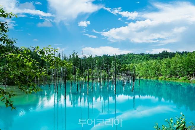 북해도 청의호수