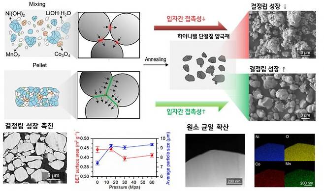 입자 간 접촉성 향상에 따른 결정립 성장 촉진 및 원소 균일 확산 모식도.