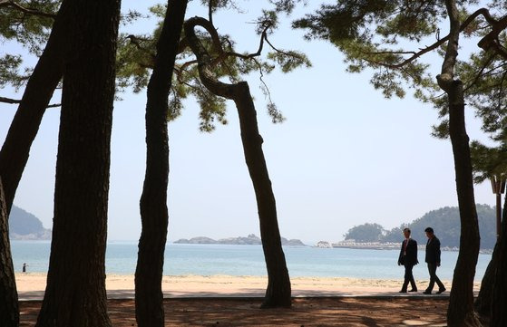 상주은모래비치에 조성된 소나무 숲길을 걷고 있는 김장실 한국관광공사 사장과 이남철 상주번영회장.