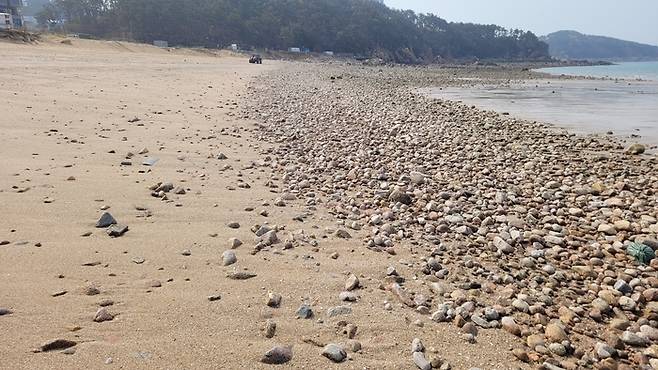 썰물때 바위와 자갈밭으로 변한 인천 중구 왕산해수욕장.|중구 제공