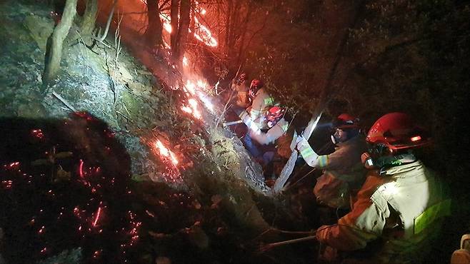 [안동=뉴시스] 지난 4월 3일 영주 평은면 산불 현장에서 밤샘 진화를 하고 있는 119산불특수대응단. (사진=경북도 제공) 2023.04.05 *재판매 및 DB 금지