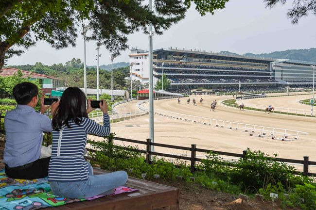 [사진]한국마사회 제공